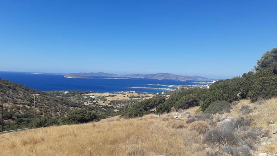 (For Sale) Land Plot || Cyclades/Paros - 12.000 Sq.m, 750.000€ 