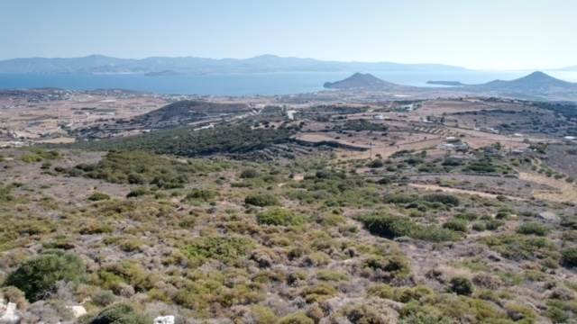 (Προς Πώληση) Αξιοποιήσιμη Γη Οικόπεδο || Κυκλάδες/Πάρος - 24.000 τ.μ, 550.000€ 