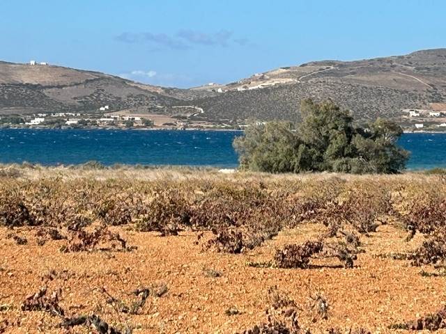 (Προς Πώληση) Αξιοποιήσιμη Γη Οικόπεδο || Κυκλάδες/Πάρος - 8.600 τ.μ, 2.000.000€ 