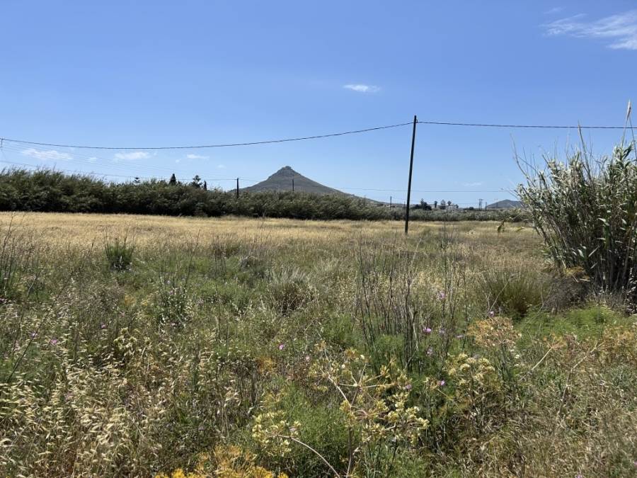 (Προς Πώληση) Αξιοποιήσιμη Γη Οικόπεδο || Κυκλάδες/Πάρος - 8.000 τ.μ, 250.000€ 