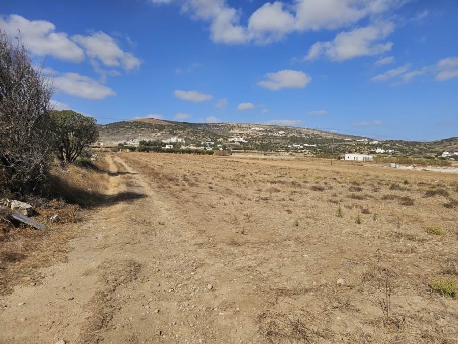 (For Sale) Land Plot || Cyclades/Paros - 8.000 Sq.m, 290.000€ 
