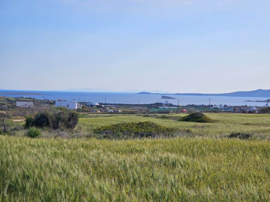 (For Sale) Land Plot || Cyclades/Paros - 9.400 Sq.m, 270.000€ 