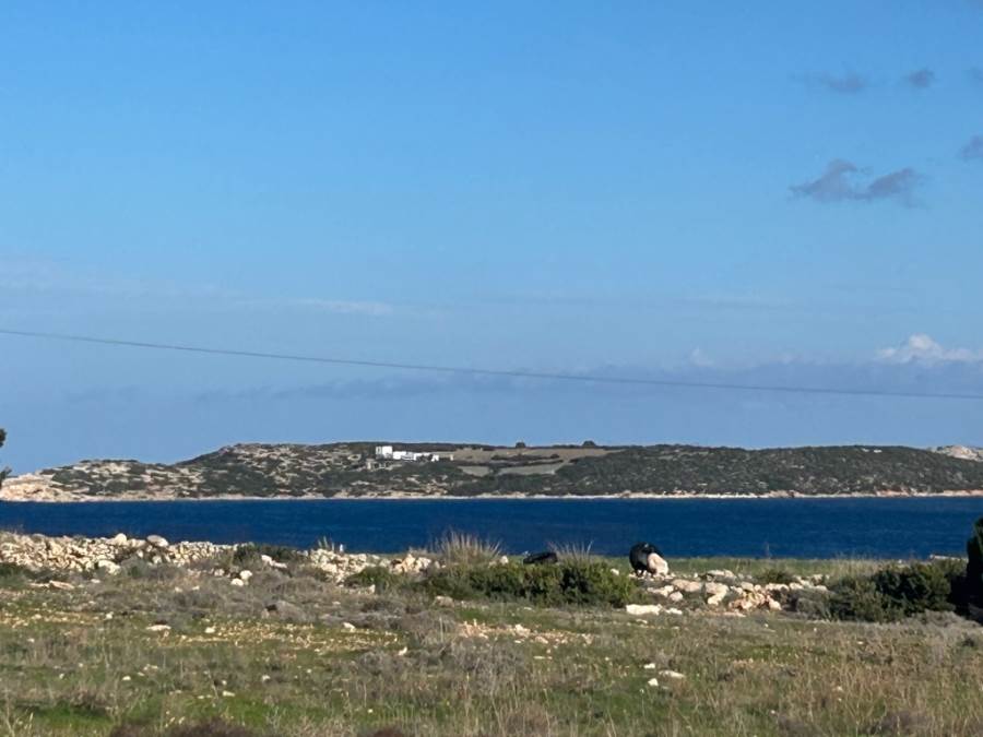 (For Sale) Land Plot || Cyclades/Paros - 9.400 Sq.m, 600.000€ 